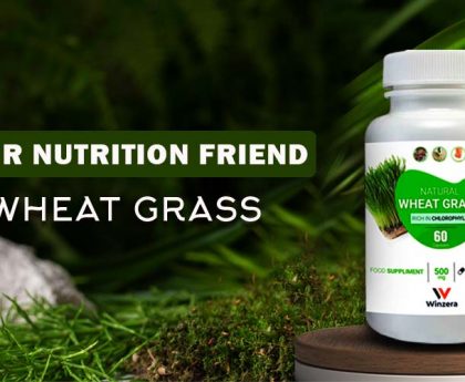 wheatgrass capsules