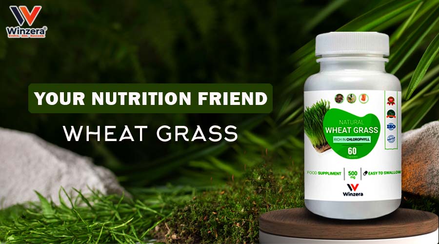 wheatgrass capsules