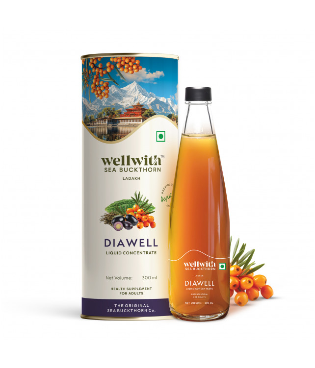 WellWith Sea Buckthorn DiaWell 300ml