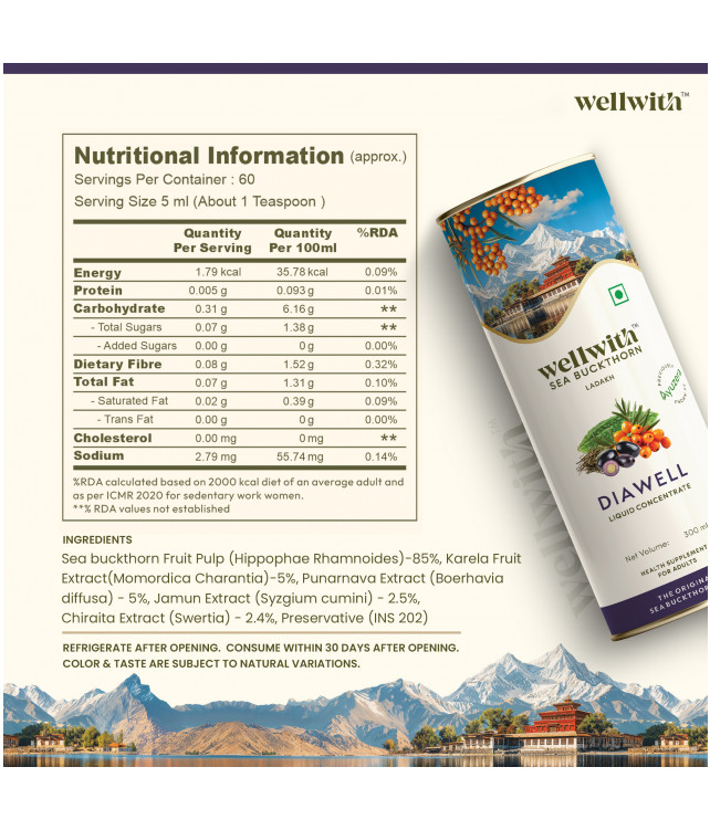 WellWith Sea Buckthorn DiaWell 300ml