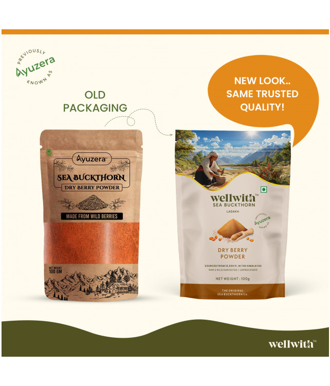 Wellwith Sea bukcthorn Dry Berry Powder 100G