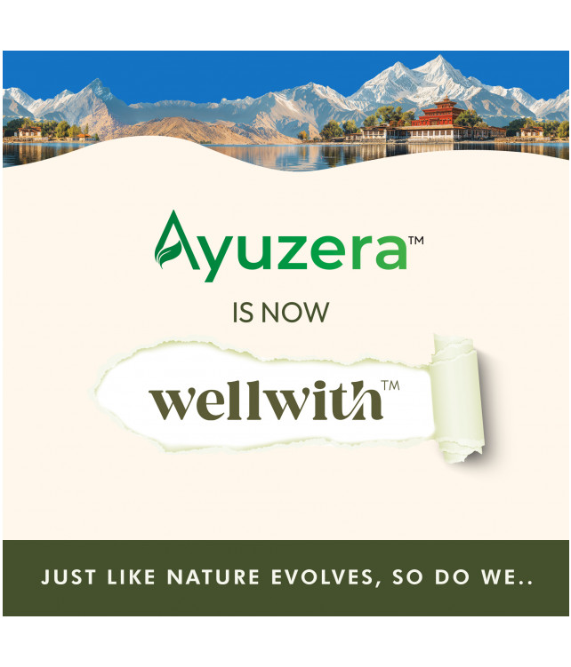 Wellwith Sea bukcthorn Dry Berry Powder 100G