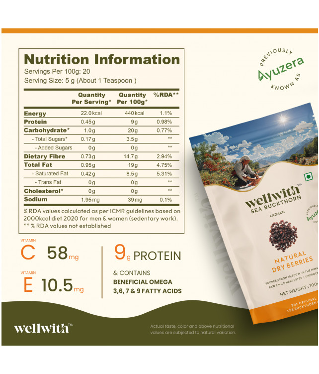 Wellwith Sea bukcthorn Dry Berry 100G