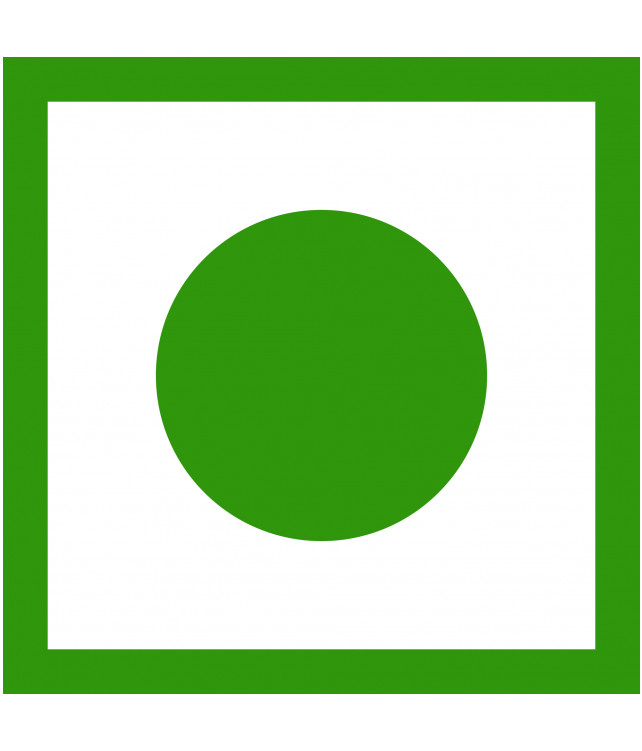 WellWith Sea Buckthorn DiaWell 300ml