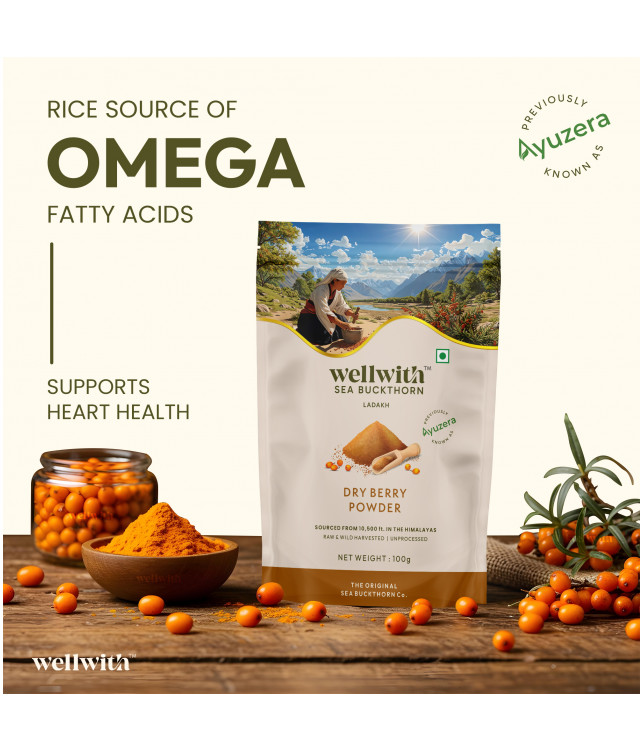 Wellwith Sea bukcthorn Dry Berry Powder 100G