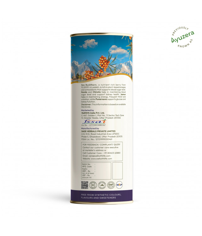 WellWith Sea Buckthorn DiaWell 300ml