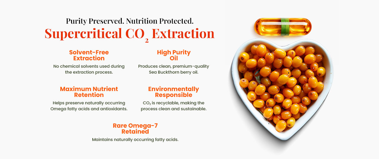 WellWith Omega 7 Sea Buckthorn Oil Capsules