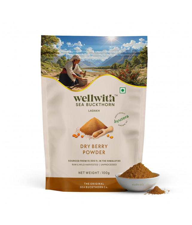 Wellwith Sea bukcthorn Dry Berry Powder 100G