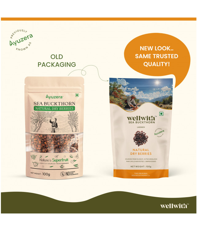 Wellwith Sea bukcthorn Dry Berry 100G