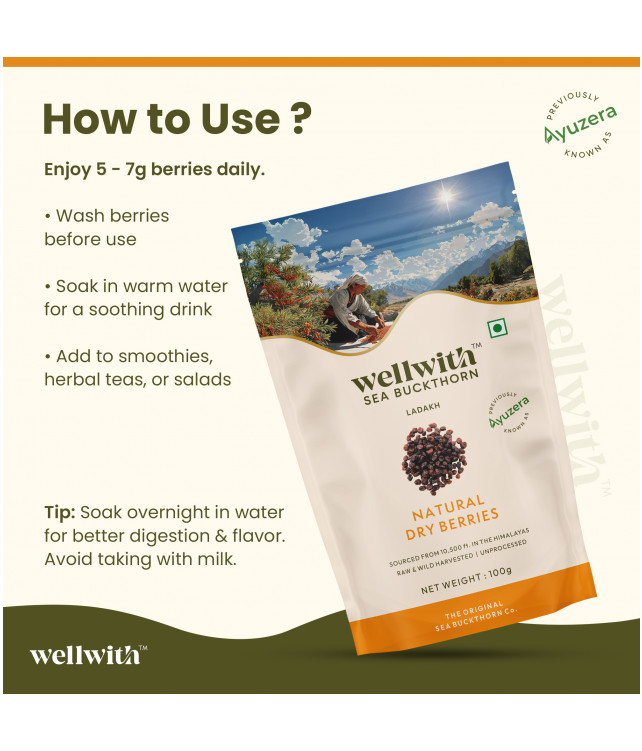 Wellwith Sea bukcthorn Dry Berry 100G