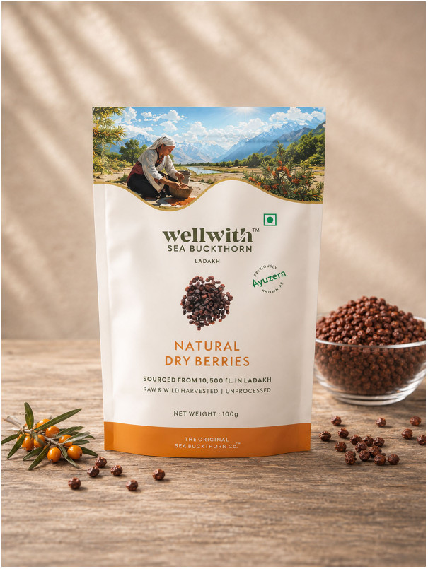 Wellwith Sea bukcthorn Dry Berry 100G