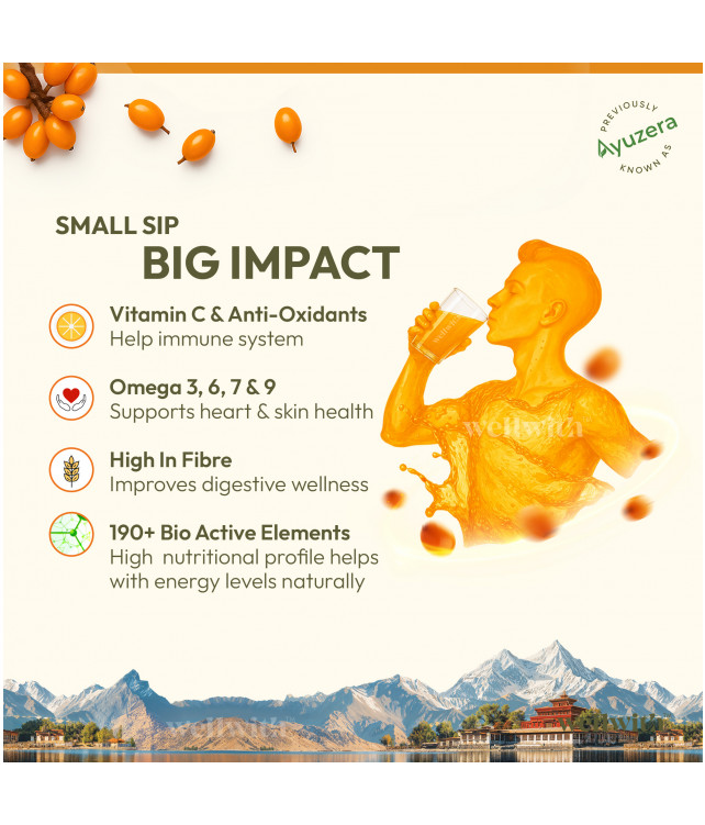 Wellwith Sea bukcthorn Pulp