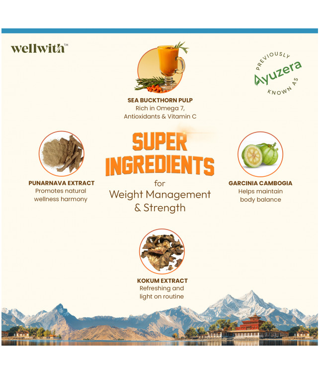 Wellwith Fitwell 300ml