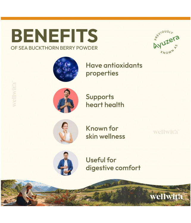 Wellwith Sea bukcthorn Dry Berry Powder 100G