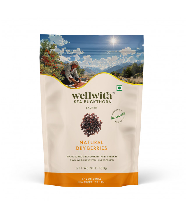 Wellwith Sea bukcthorn Dry Berry 100G