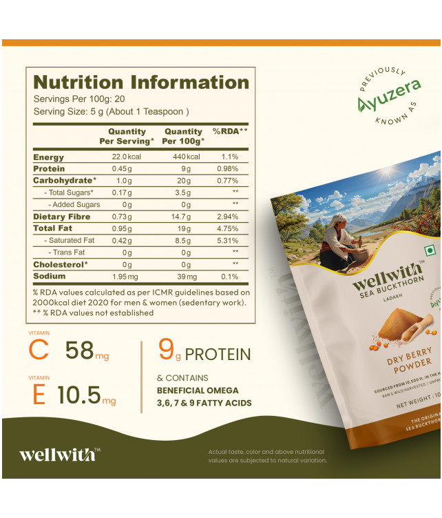 Wellwith Sea bukcthorn Dry Berry Powder 100G