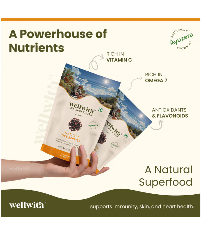 Wellwith Sea bukcthorn Dry Berry 100G