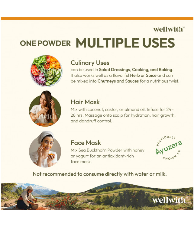 Wellwith Sea bukcthorn Dry Berry Powder 100G