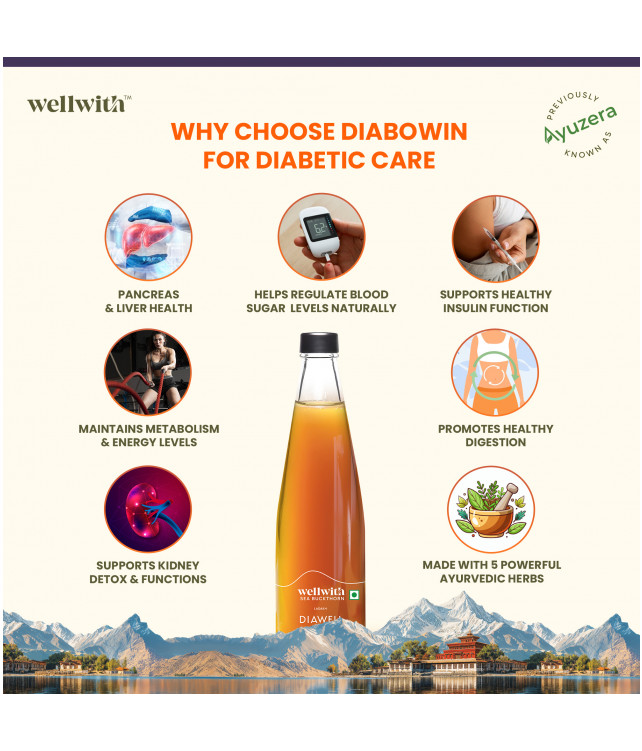 WellWith Sea Buckthorn DiaWell 300ml