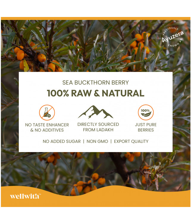 Wellwith Sea bukcthorn Pulp
